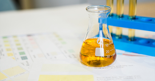 Услуги по непрерывным НИОКР и обмену новыми продуктами